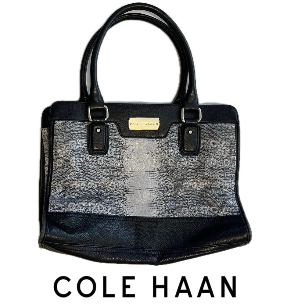 COLE HAAN CARRINGTON SATCHEL | Lizard Print / Texture | Large